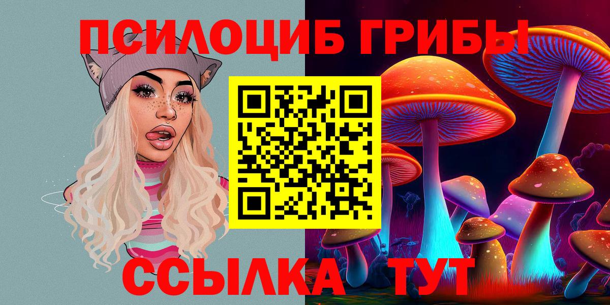 где купить наркоту  Галлюциногенные грибы Cubensis  Вход с VPN  Владивосток 